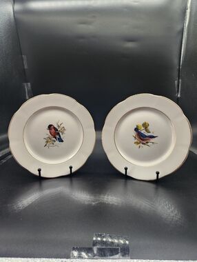 Vintage Rosina Bone China Spade Hammersley Birds Bird Salad Plates - Set of 8